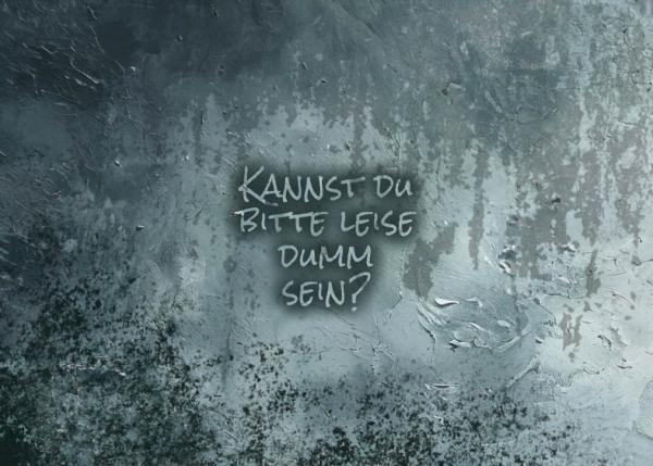 Preview: KANNST DU BITTE LEISE DUMM SEIN? - SET Taschenpanel Softshell